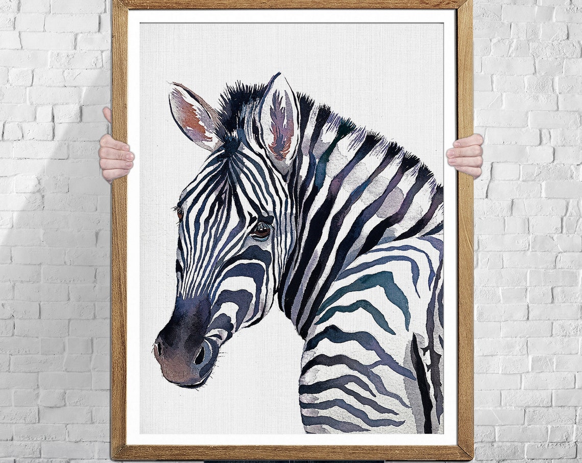 Zebra Watercolor Art Print, African Animal Study
