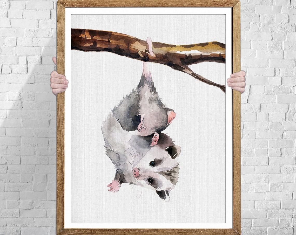 Possum Watercolor Art Print, Nursery Decor