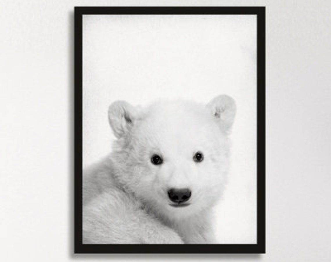 Baby Polar Bear Cub Portrait Black and White Cute Animal Poster