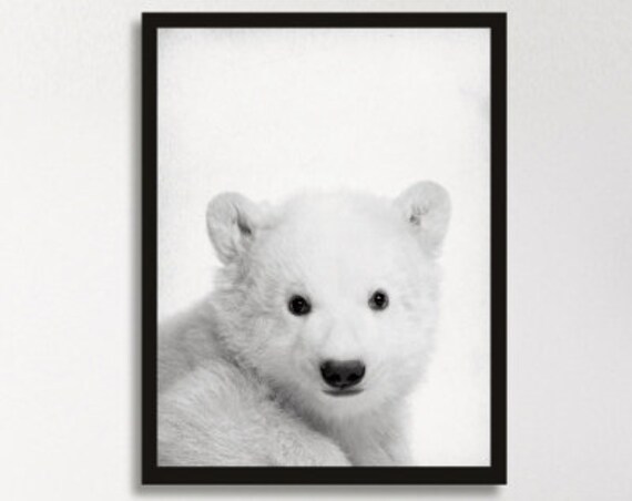 Baby Polar Bear Cub Portrait Black and White Cute Animal Poster