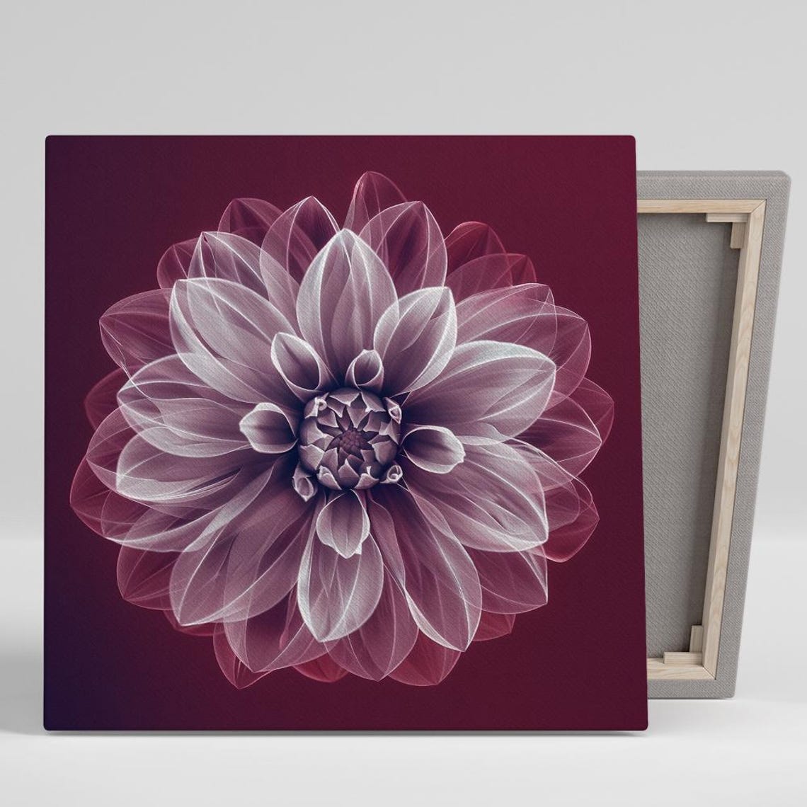 Translucent Dahlia Bloom On Deep Burgundy Background Art Poster