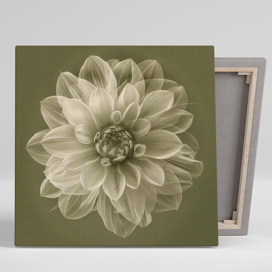 Pale Green Translucent Dahlia Bloom On Olive Background Art Poster