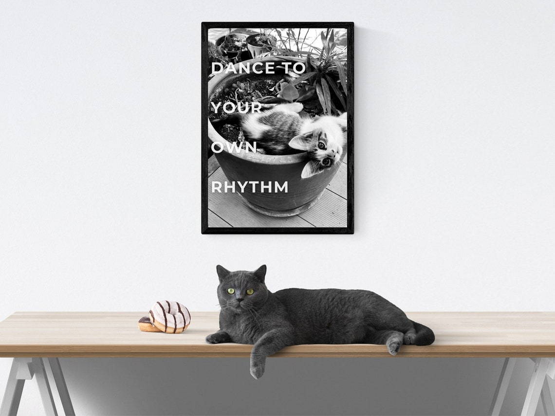 Dance To Your Own Rhythm Kitten In Pot Photo Quote Wall Poster - Image 3