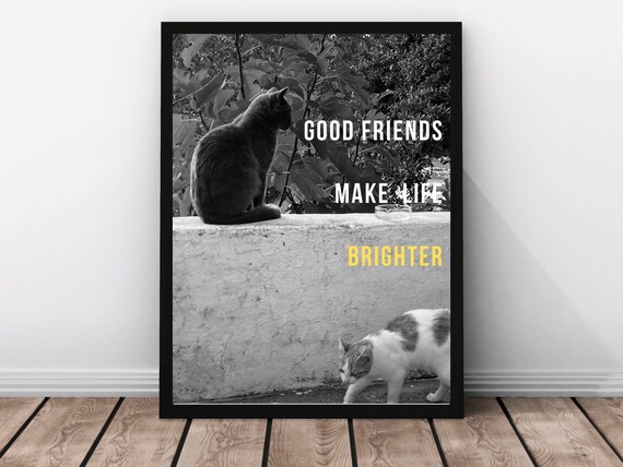 Good Friends Make Life Brighter Good Friends Quote Print Wall Art Quotes Cute Cat Photography Corfu Greece Sassy Strays Photo