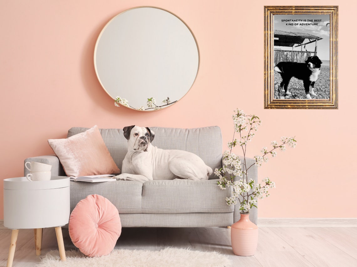 Inspirational Travel Quote Print Beach Dog Photo Wall Sassy Dog Gift Love Pet Love Gift Idea Travel Quote Photo Gift Sassy Strays - Image 2