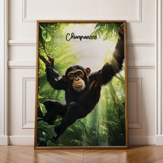 Chimpanzee Print Modern Wildlife Illustration Jungle Home Decor