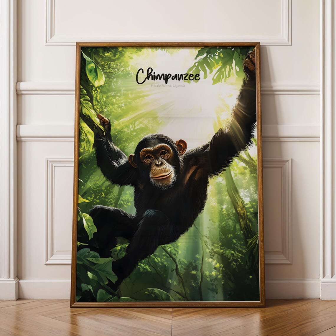 Chimpanzee Kibale Forest Uganda Jungle Wildlife Portrait Poster