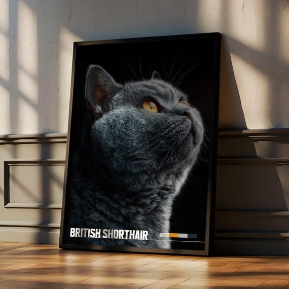 British Shorthair Framed Poster Cute Cat Wall Art For Nursery Or Kids Room