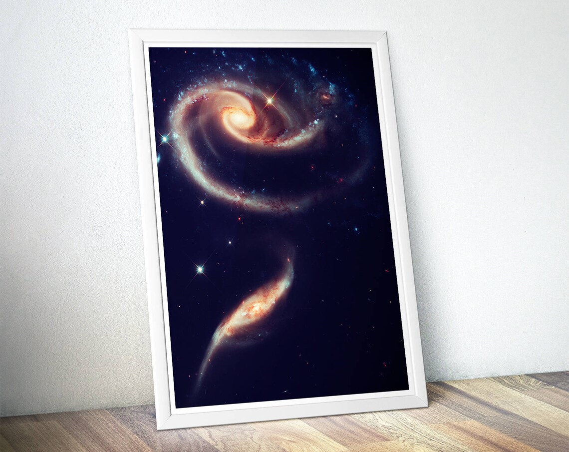 Rose Galaxy Astronomy Art Print, Universe Poster - Image 4
