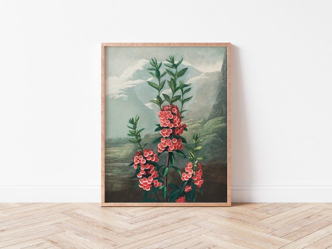 Vintage Red Blossom Botanical Illustration Mountain Scenery Art Print