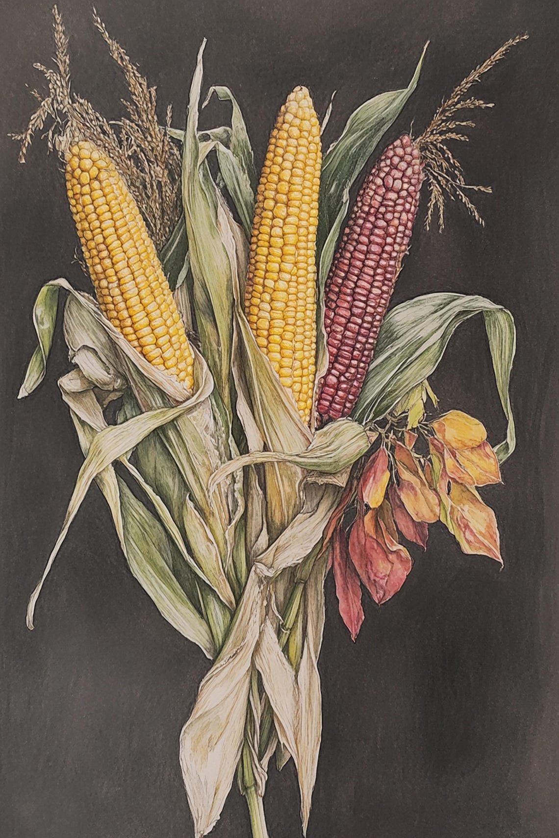 Harvest Corn Trio Gold And Ruby Ears Vintage Kitchen Art Poster - Image 3