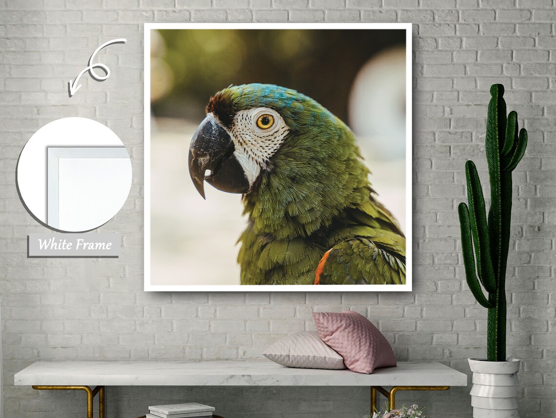 Colorful Parrot Portrait, Tropical Nature Painting - Image 3