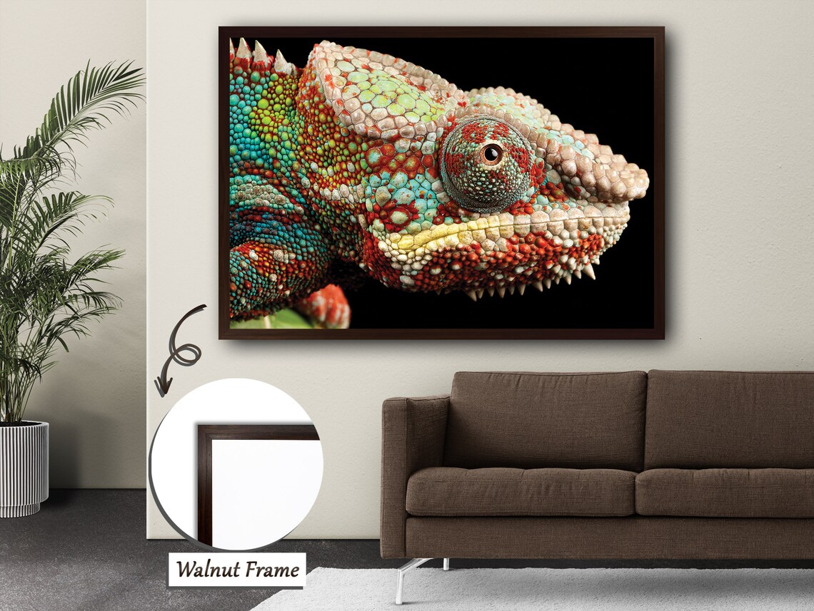 Vivid Chameleon, Detailed Wildlife Reptile Art Print - Image 4