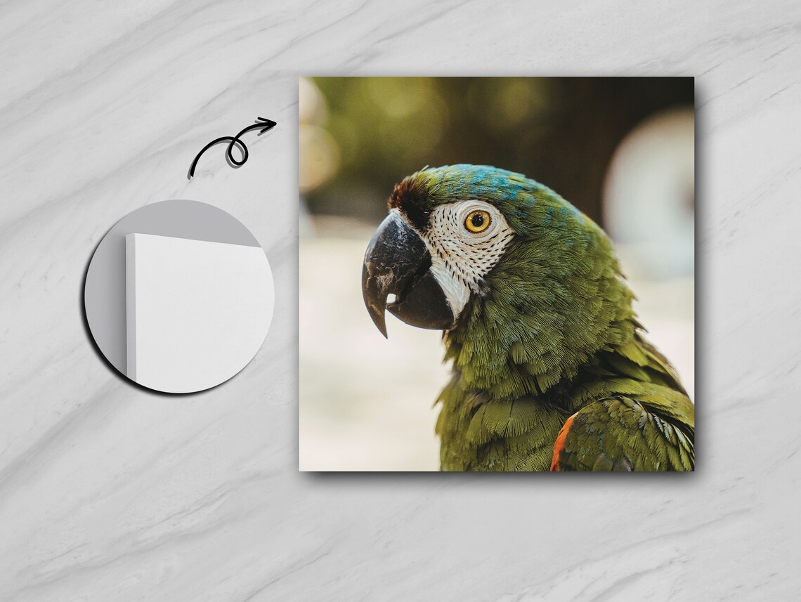 Colorful Parrot Portrait, Tropical Nature Painting