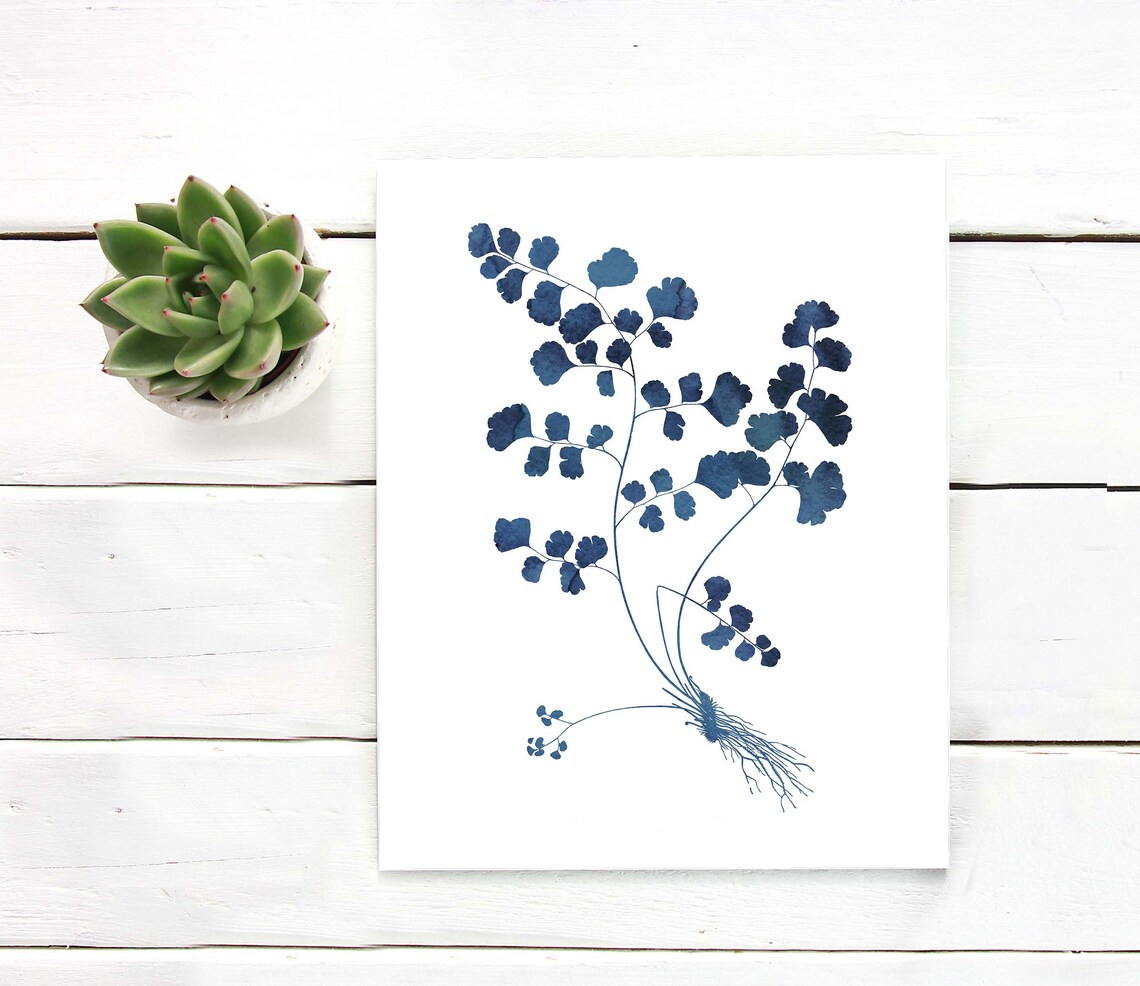 Indigo Blue Maidenhair Fern Watercolor Botanical Roots White Print - Image 3
