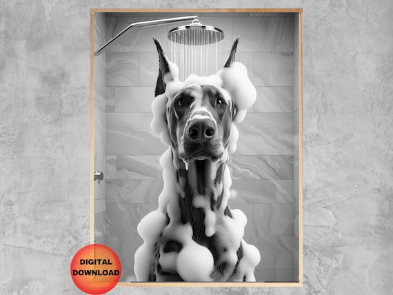 Doberman Bathroom Wall Art Funny Black And White In Shower Poster Dog Owner Gift Pet Animal Humor