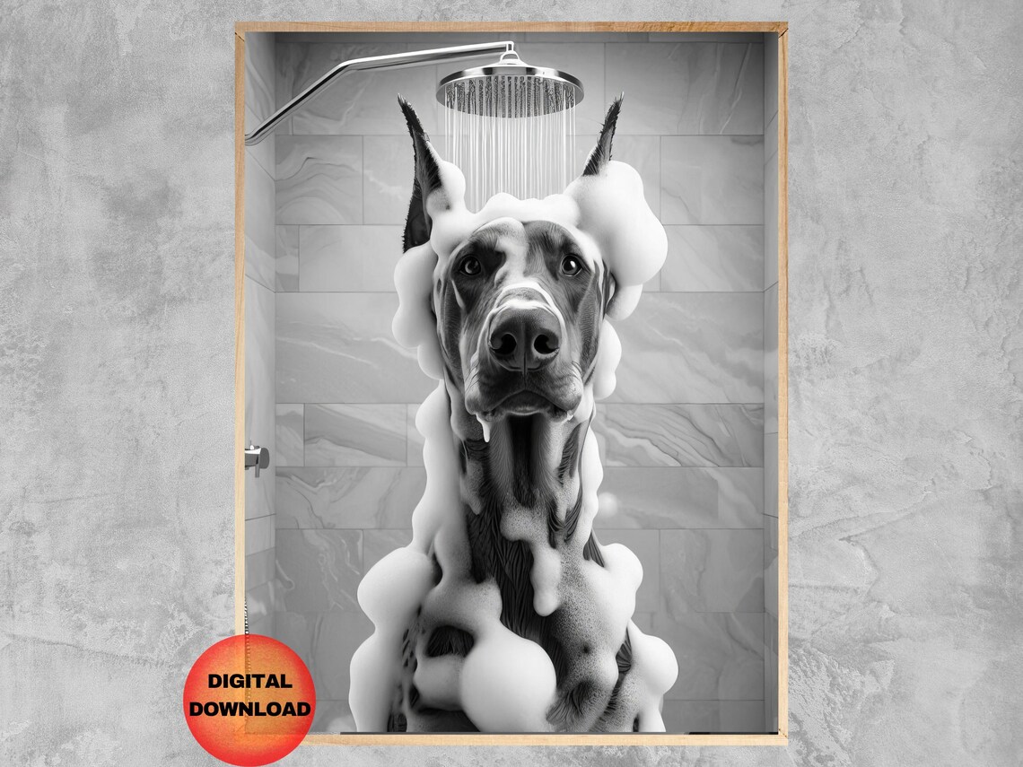 Funny Doberman in Shower Covered in Soap Suds Black White Bathroom Poster