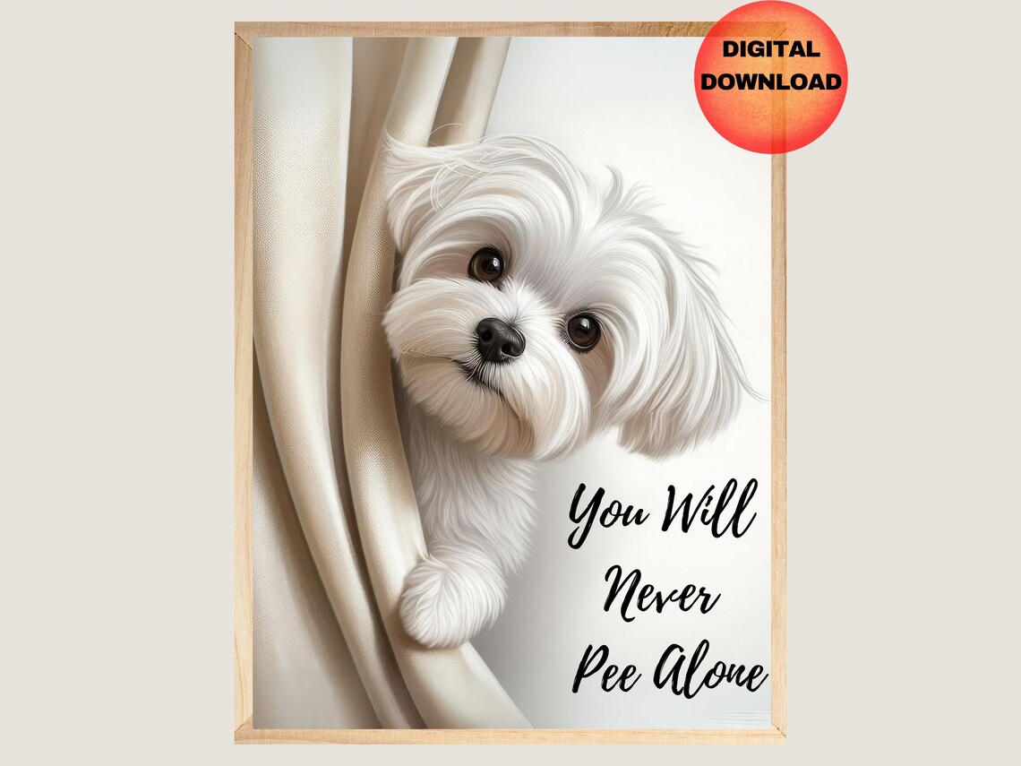 Maltese Bathroom Print, Funny Dog Wall Art
