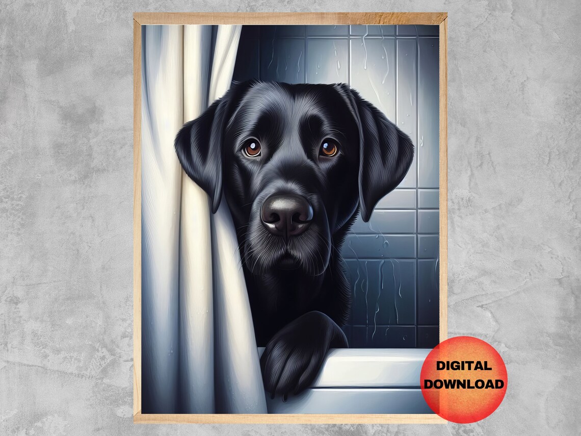 Black Labrador In Bath Funny Bathroom Art Print