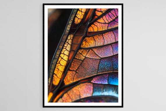 Dragonfly Wing Art Print Intricate Macro Detail