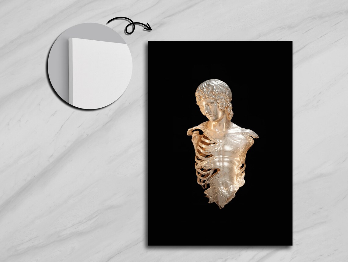 Metallic Contrast Silver Skeleton With Gold Reflections - Image 5