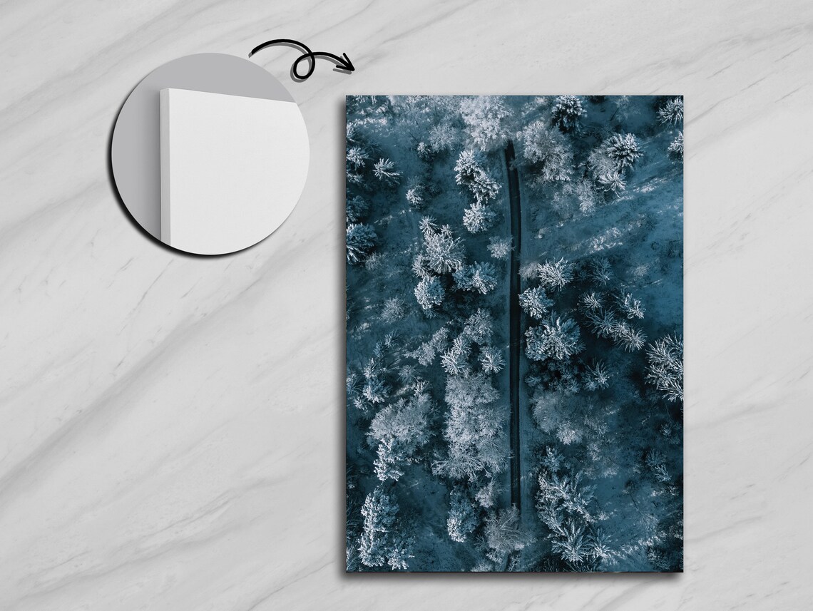 Birds Eye View Of Snowy Forest, Winter Landscape