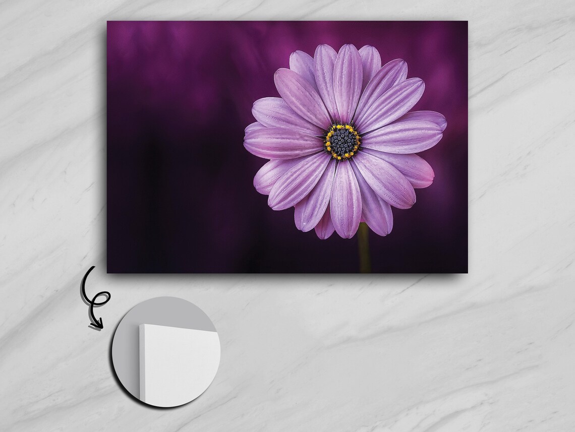 Purple Violet Blossom, Floral Elegance Wall Art Print