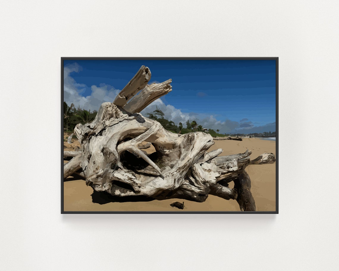 Lydgate Beach Park, Kauai Travel Poster