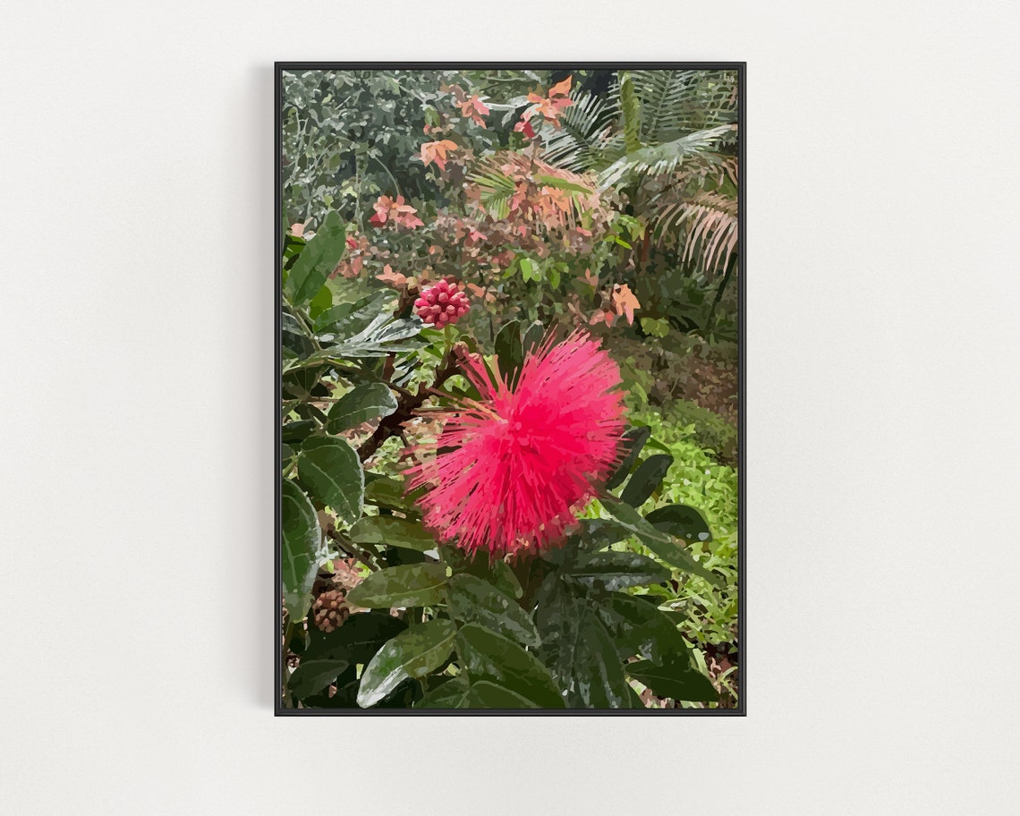 Hawaiian Tropical Plant Art Kauai Botanical Poster Hawaii Flowers Wall Decor Floral Boho Print Pink Jungle Flower