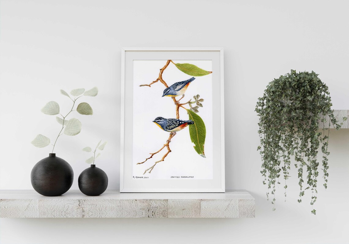 Spotted Pardalote Birds Watercolor Australian Wildlife Art Poster