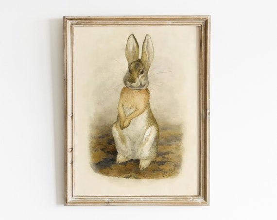 Original Beatrix Potter Illustration Of A Hare Vintage Animal Nursery Fine Art Print For Kids Room