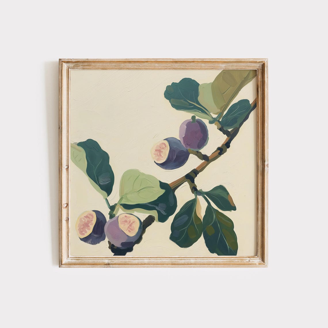Ripe Figs Ripening on a Leafy Branch Botanical Still Life Poster