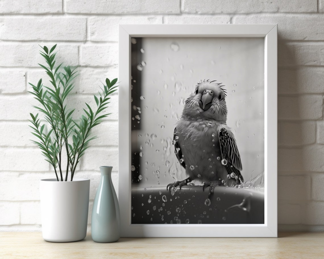 Budgie Parakeet Enjoying a Bath in Splashing Water Black White Poster - Image 2