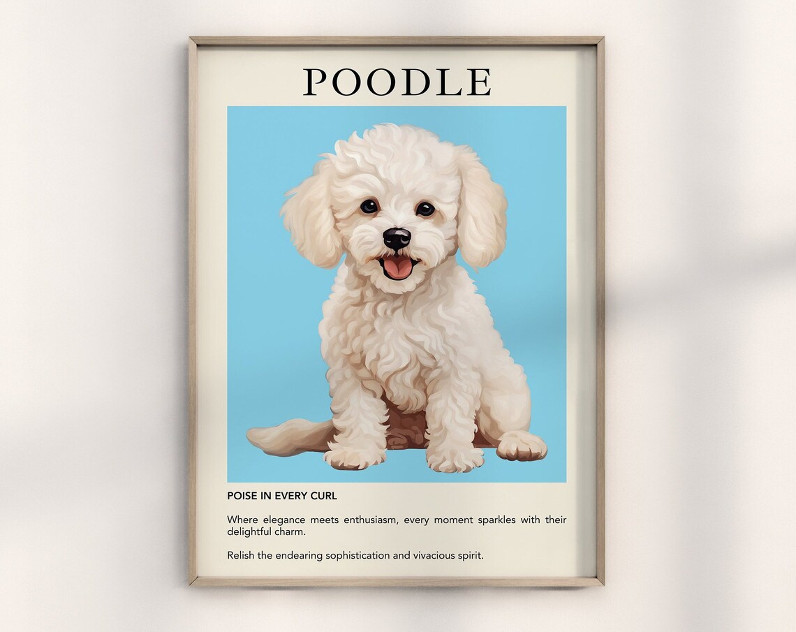 Poodle Dog Poster Print, Minimalist Modern Illustration