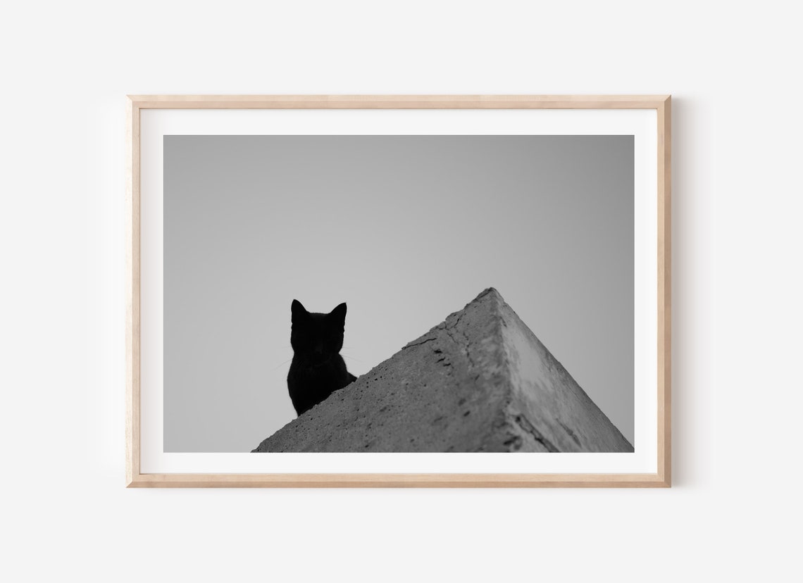 Monochrome Cat Photography Animal Photography Print Spain Photography Street Photography Wall Art Travel Photo Print Cat Photo Poster - Image 5