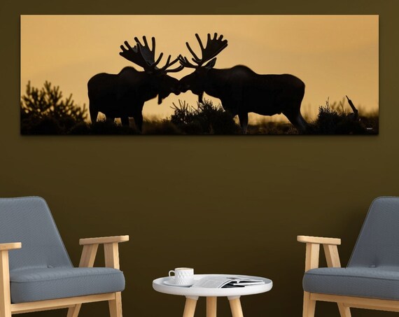 Two Moose Silhouettes at Golden Sunset Wilderness Panorama Wall Art