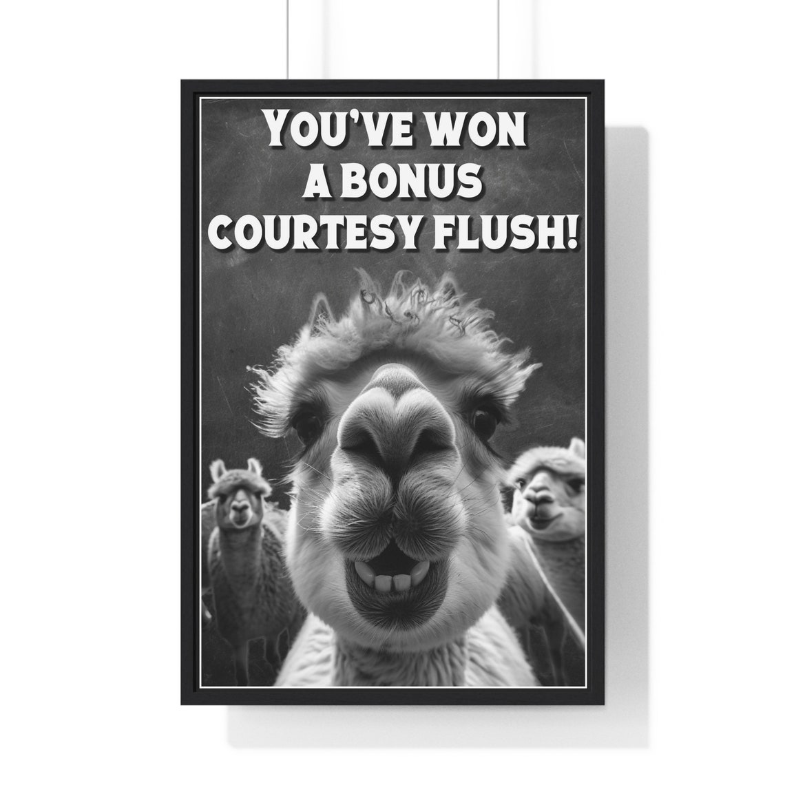 Funny Alpaca Bathroom Quote Won a Bonus Courtesy Flush Gift Poster