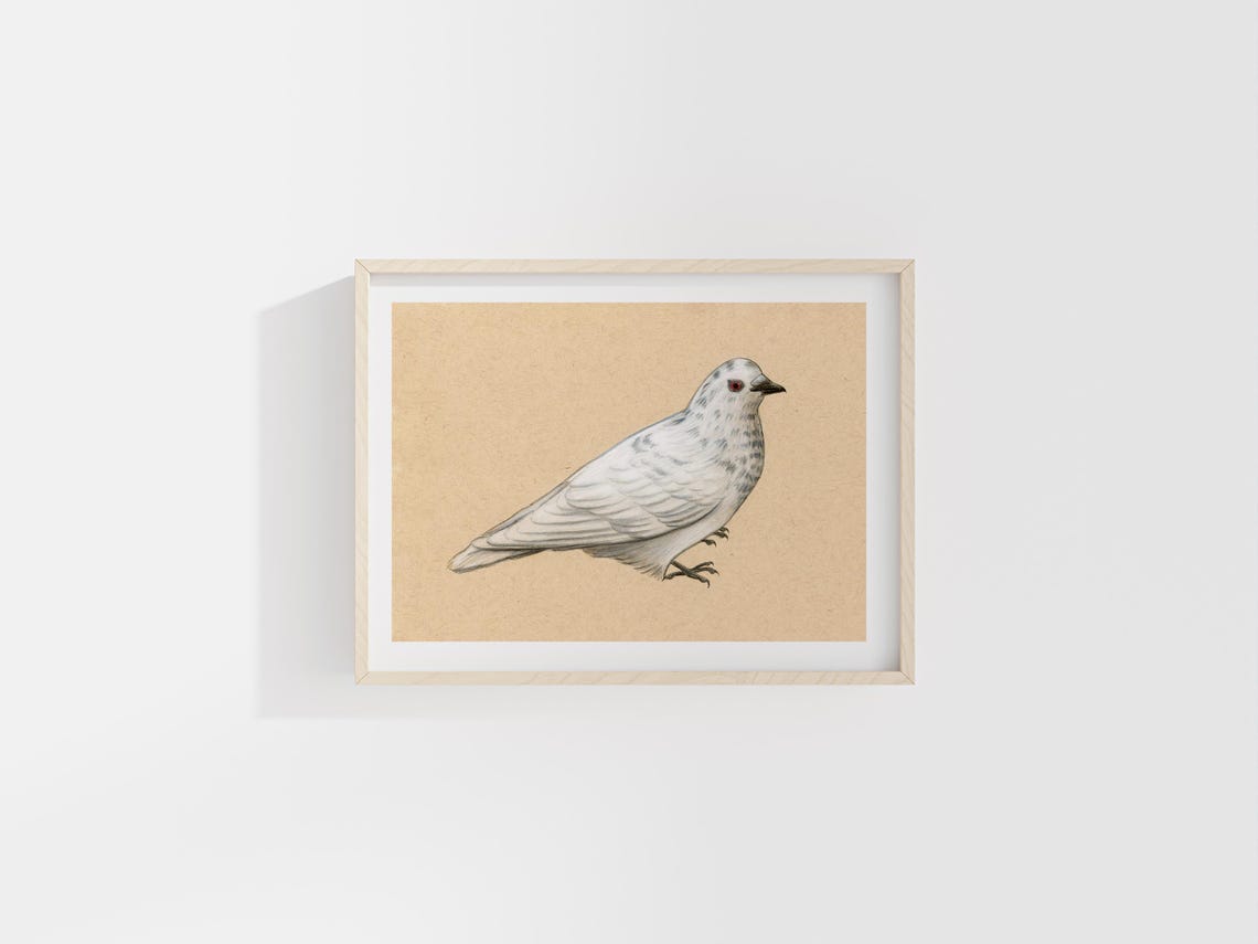 White Pigeon on Kraft Paper Minimalist Bird Illustration Art Poster - Image 2