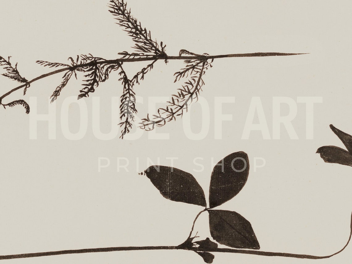 Minimal Black Ink Botanical Study Two Stems Cream Background Wall Art - Image 2