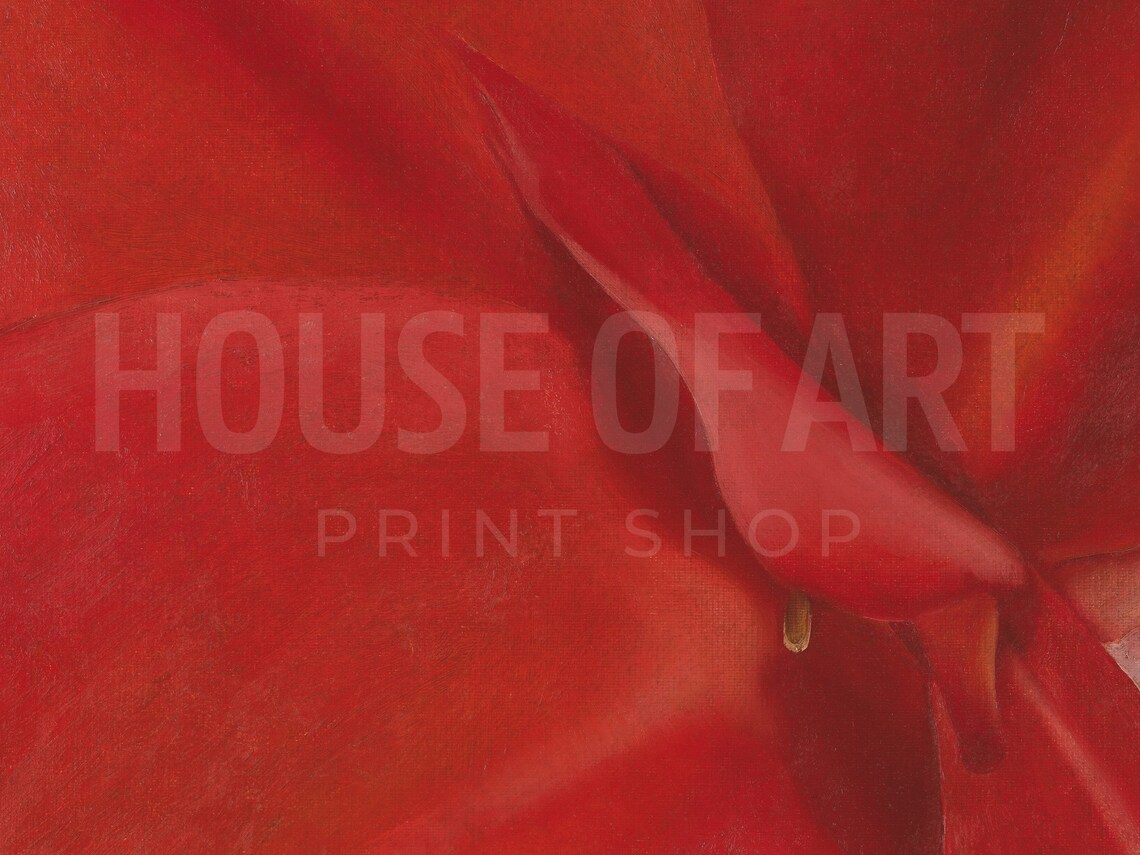 Red Canna Flower Close Up Bold Modern Floral Oil Painting Poster - Image 2