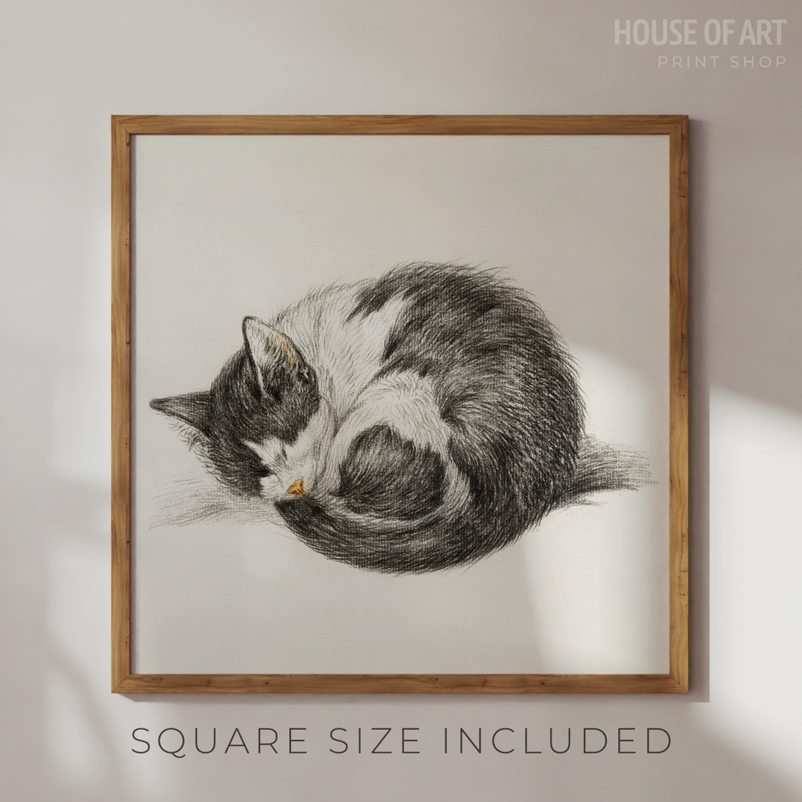 Sleeping Tabby Cat Curled Up Vintage Charcoal Sketch Wall Art Poster - Image 2