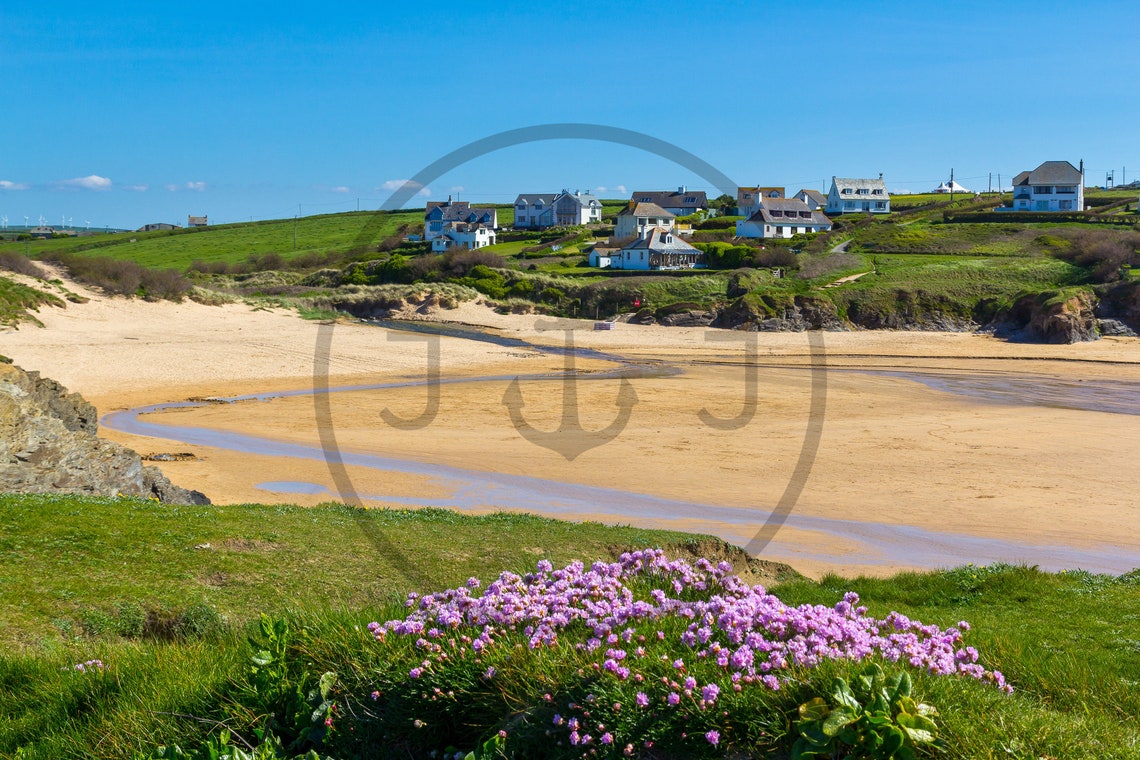 Treyarnon Bay Beach Cornwall Sandy Cove Summer Wildflowers Poster - Image 3