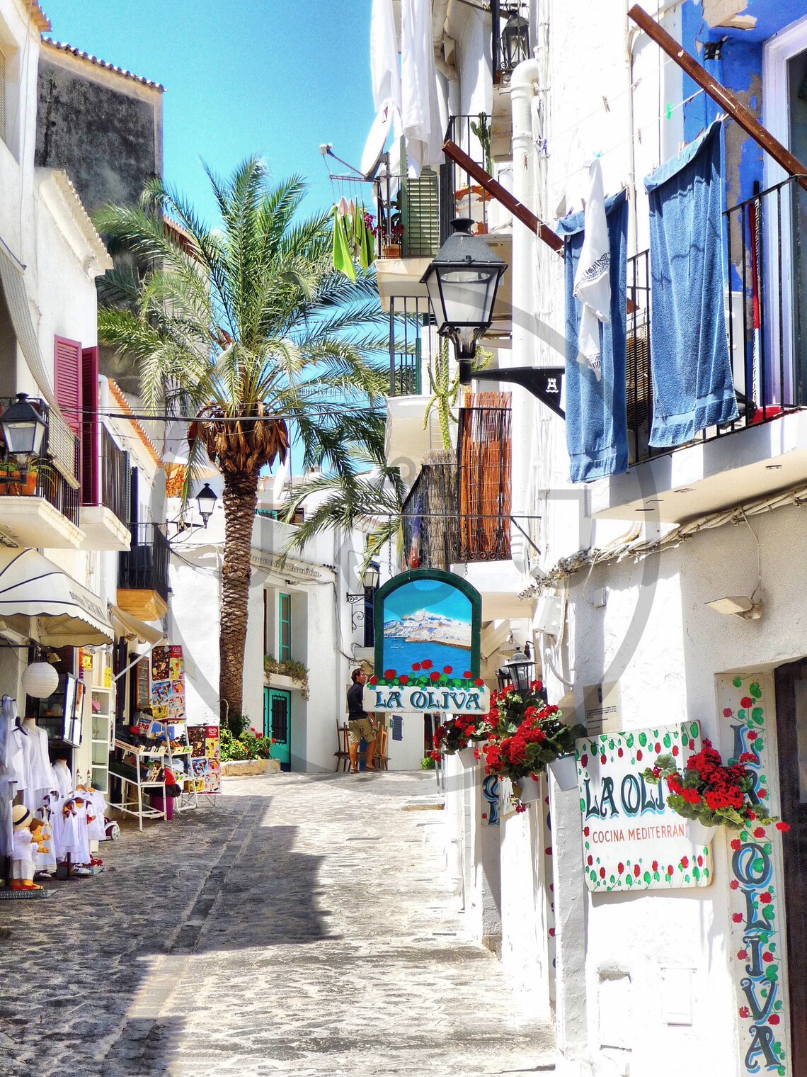 Ibiza Old Town La Oliva Street with Palm and White Houses Poster - Image 3