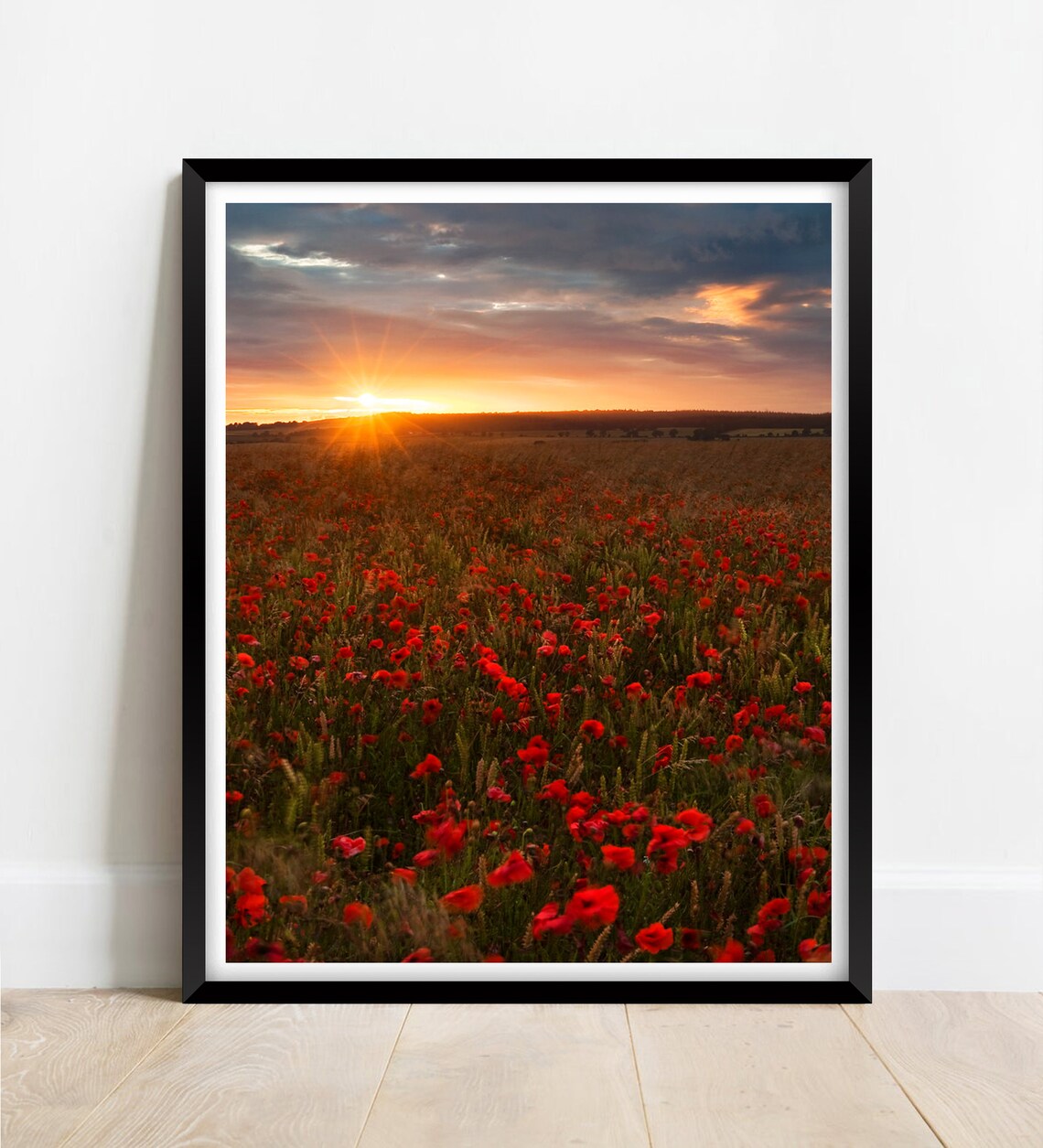 Red Poppies Wiltshire Countryside Sunset Field Of Wildflowers Poster