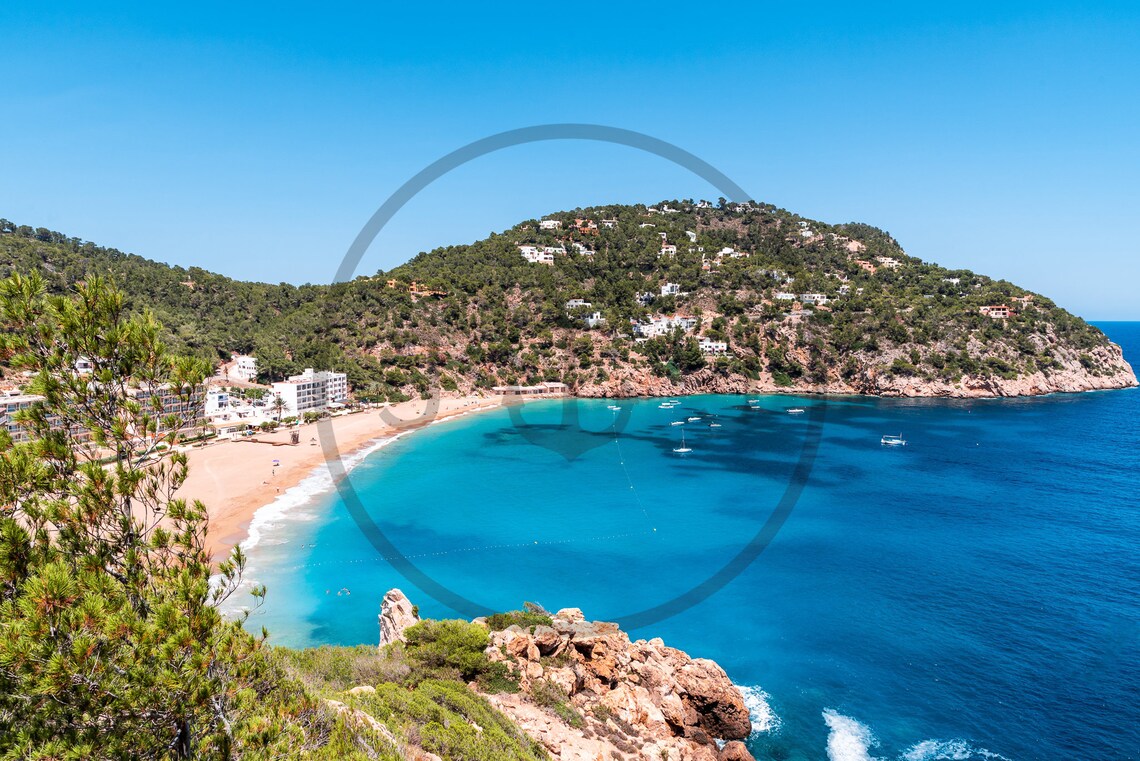 Cala Sant Vicent Ibiza Beach Cove with Green Hills and Pines Poster - Image 3