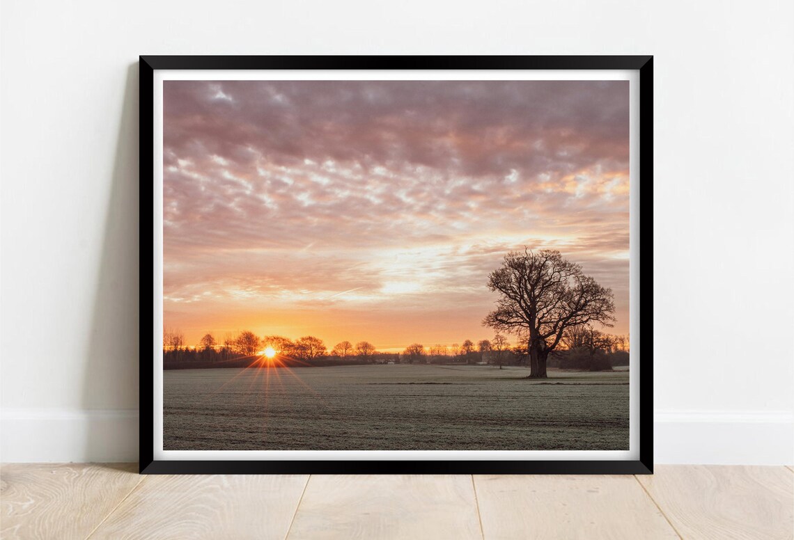 Lone Tree in Frosty Field Sunrise Pink Clouds Morning Poster