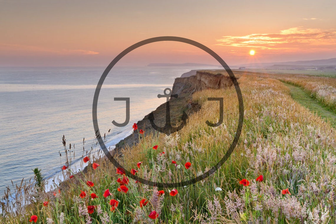 Atherfield Bay Poppies On Cliff Top Sunset Isle Of Wight Poster - Image 3