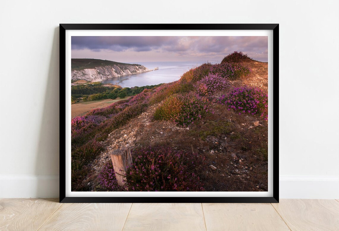 Purple Heather Headon Warren Isle Of Wight Sunset Coast Poster