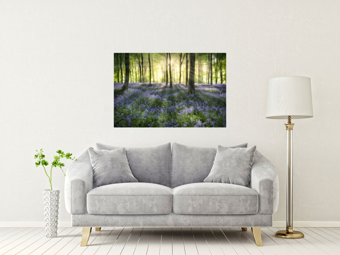 Spring Bluebell Wood With Sunlight Streaming Between the Trees Poster - Image 2
