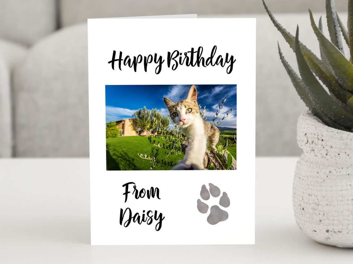 Personalised Happy Birthday Card From Your Cat Daisy Name Gift Poster